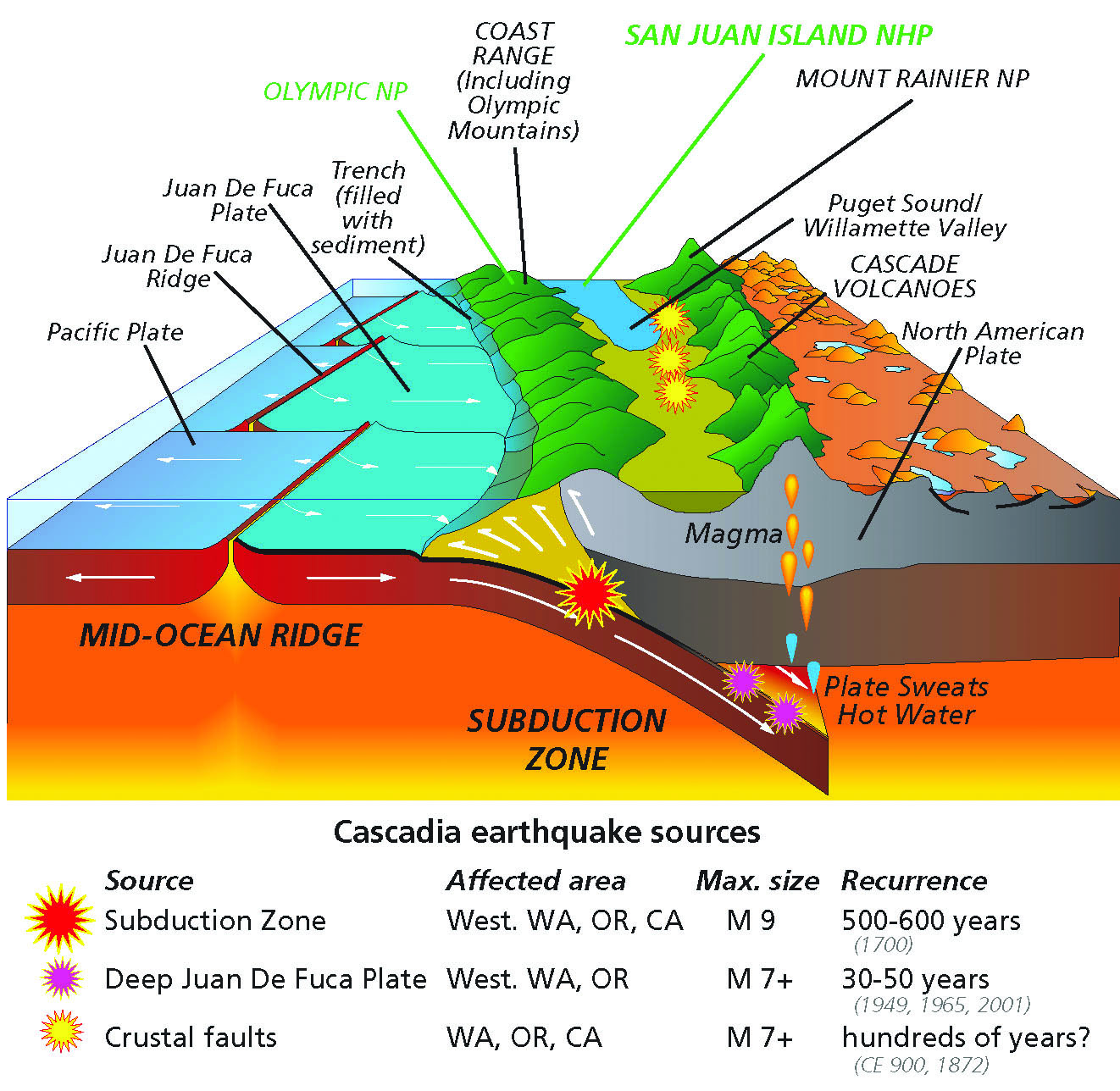 Possible Megaquake Brewing In Washington The Watchdog